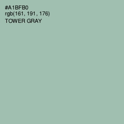 #A1BFB0 - Tower Gray Color Image